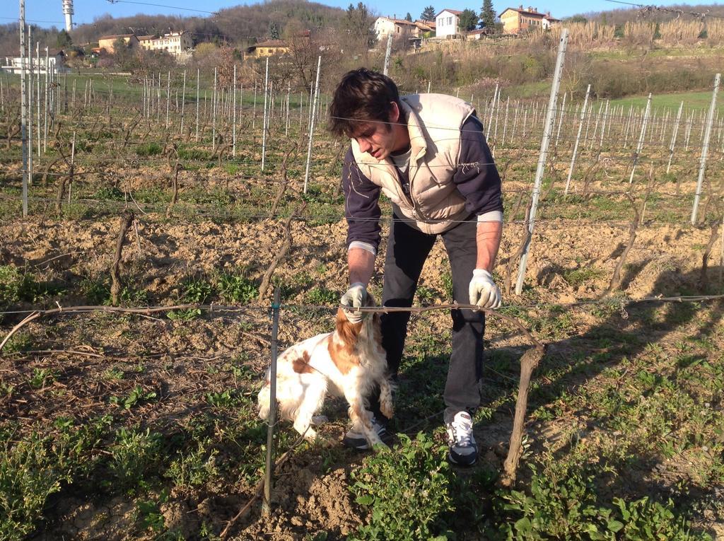 Azienda Agricola Garoglio Davide Alfiano Natta Exterior photo